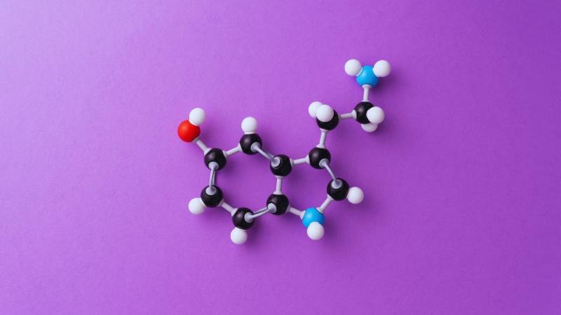 plastic molecules sitting on a purple background
